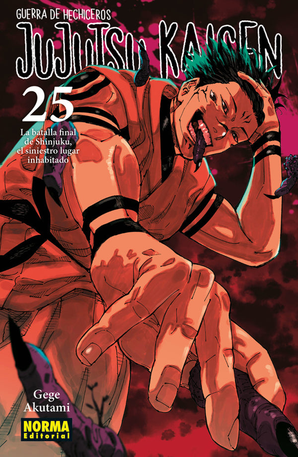 Portada de Jujutsu Kaisen 25 de Gege Akutami, edición en castellano de Norma Editorial